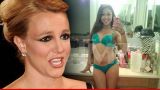 cali lee news pictures and videos tmz com